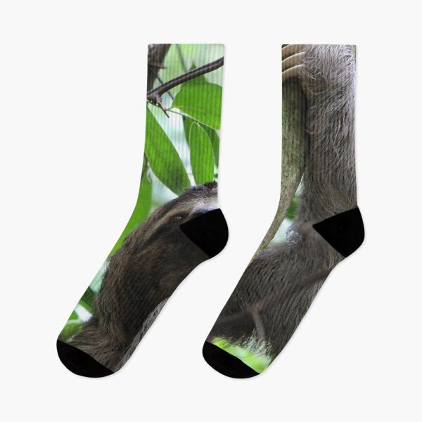 Item preview, Sloth 001 designed and sold by JAMFoto.