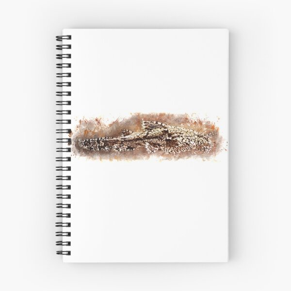 Item preview, Delta wing pygmy catfish - Hara jerdoni designed and sold by AquariumLutter.