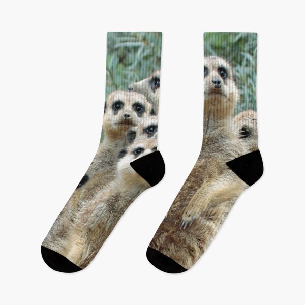 Item preview, Meerkat 012 designed and sold by JAMFoto.