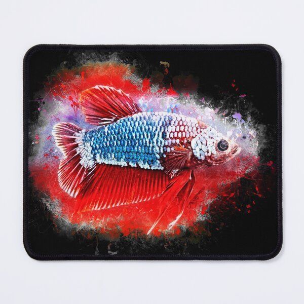 Item preview, Fighting Fish Halfmoon Poster - Betta splendens designed and sold by AquariumLutter.