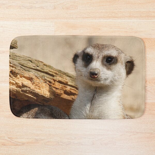 Item preview, Meerkat 042 designed and sold by JAMFoto.