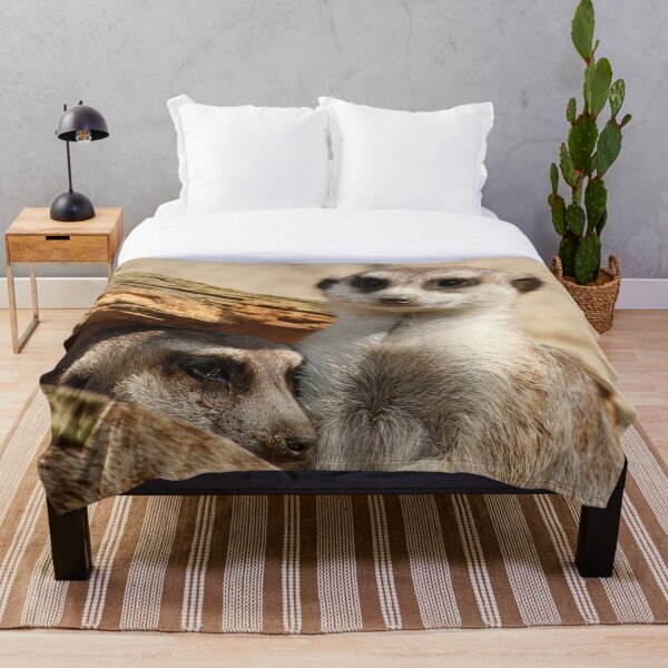 Item preview, Meerkat 042 designed and sold by JAMFoto.