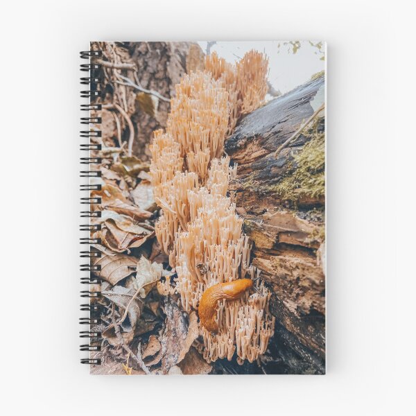 Item preview, in the woods designed and sold by Julia  Kovtunyak.