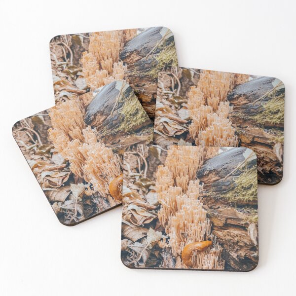 Item preview, in the woods designed and sold by Julia  Kovtunyak.