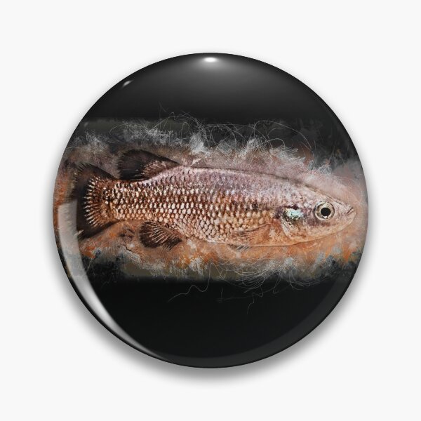 Item preview, Black Prince - Characodon audax designed and sold by AquariumLutter.