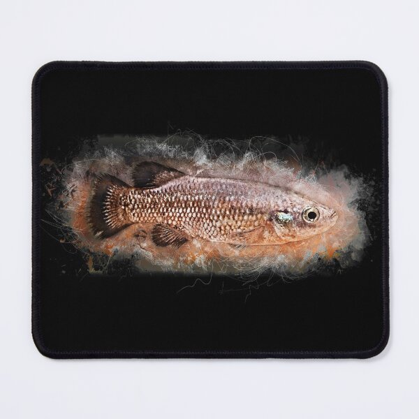 Item preview, Black Prince - Characodon audax designed and sold by AquariumLutter.