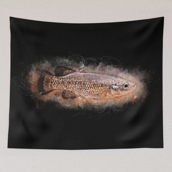 Item preview, Black Prince - Characodon audax designed and sold by AquariumLutter.
