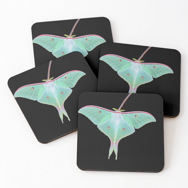 Item preview, _DSC4158 Atlas Moth. color designed and sold by Sunil Kapadia.
