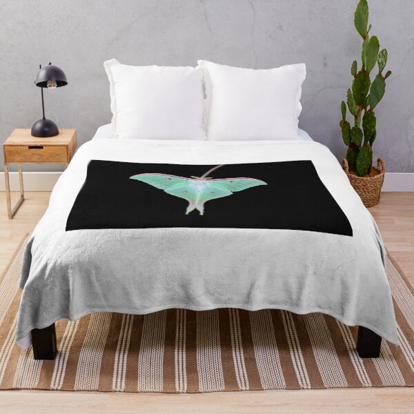 Item preview, _DSC4158 Atlas Moth. color designed and sold by Sunil Kapadia.