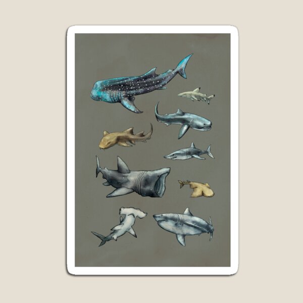 Aperçu de l'œuvre les requins créée et vendue par Maya Pantic.