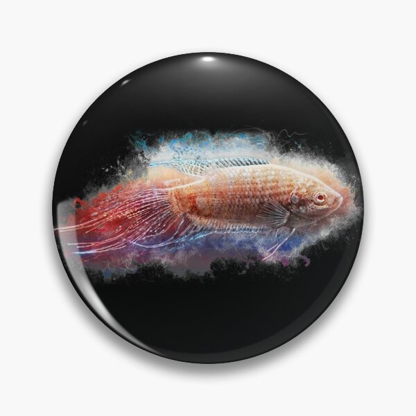 Item preview, Macropode Gold - Macropodus opercularis designed and sold by AquariumLutter.