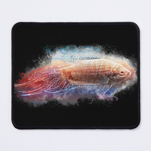 Item preview, Macropode Gold - Macropodus opercularis designed and sold by AquariumLutter.