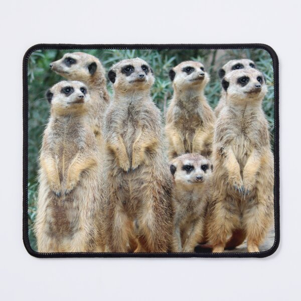 Item preview, Meerkat 006 designed and sold by JAMFoto.