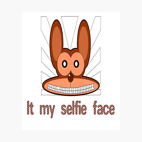 Download Monkey Selfie Meme Faces Funny Picture