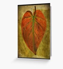 Botanical Wonder Greeting Card