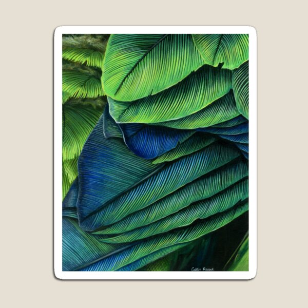 Feathers Magnet