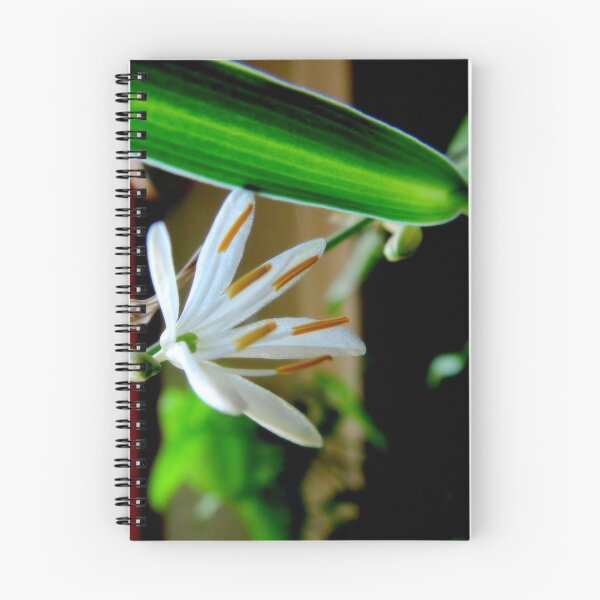 Item preview, In Bloom...Spider Plant designed and sold by Diane Arndt.