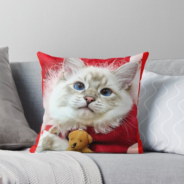 Item preview, Saoirseragdoll Santa ragdoll cat designed and sold by Fluffycat2020.