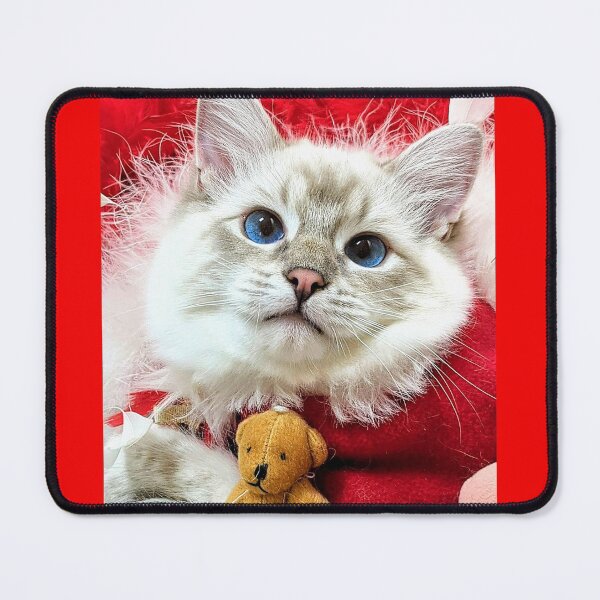 Item preview, Saoirseragdoll Santa ragdoll cat designed and sold by Fluffycat2020.
