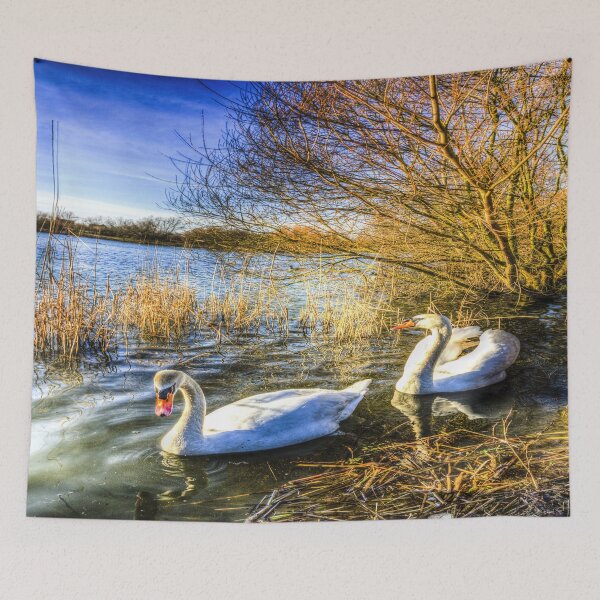 Item preview, Peaceful Swans designed and sold by Londonimages.