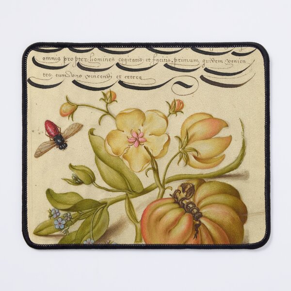 Item preview, Naturalist Manuscript: Flowers, Insect, Fruits and Calligraphy Illumination by Joris Hoefnagel designed and sold by Naturalist Prints.