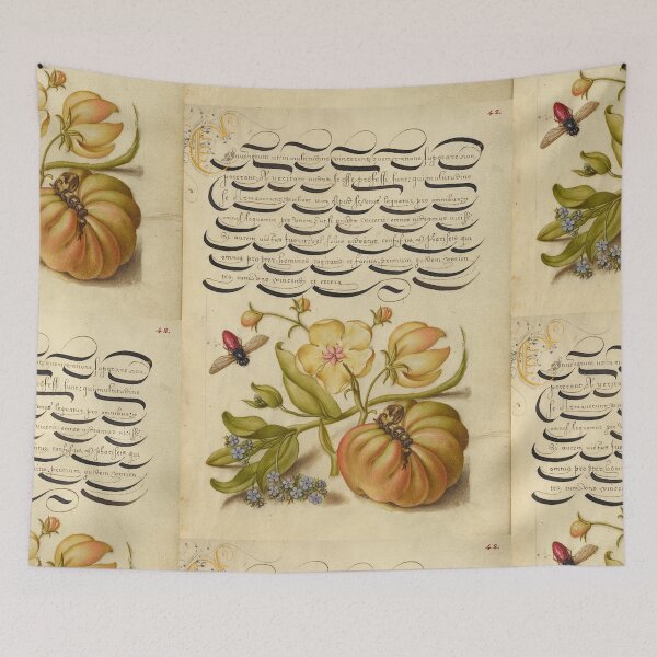Item preview, Naturalist Manuscript: Flowers, Insect, Fruits and Calligraphy Illumination by Joris Hoefnagel designed and sold by Naturalist Prints.