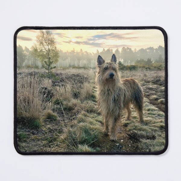 Item preview, Berger picard dog in frosty landscape designed and sold by ArtfulDogster.