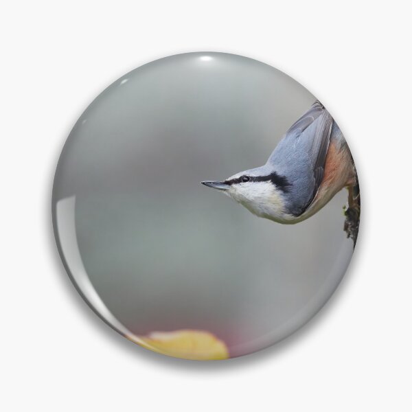 Item preview, Is the winter coming. Eurasian nuthatch designed and sold by Jouko Lehto Photography.
