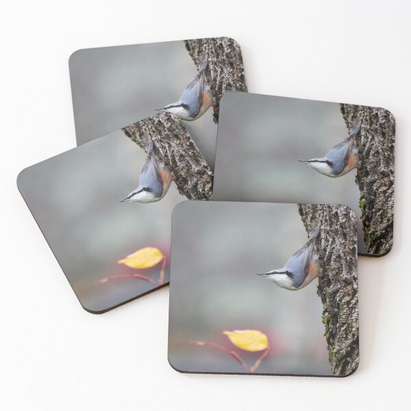Item preview, Is the winter coming. Eurasian nuthatch designed and sold by Jouko Lehto Photography.