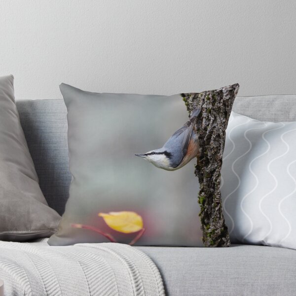 Item preview, Is the winter coming. Eurasian nuthatch designed and sold by Jouko Lehto Photography.