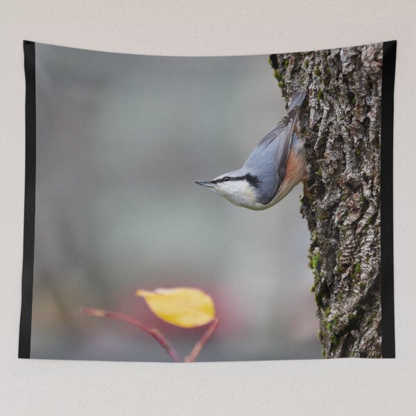 Item preview, Is the winter coming. Eurasian nuthatch designed and sold by Jouko Lehto Photography.
