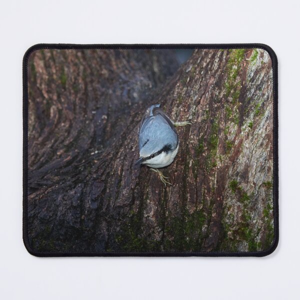 Item preview, Drama. Eurasian nuthatch designed and sold by Jouko Lehto Photography.