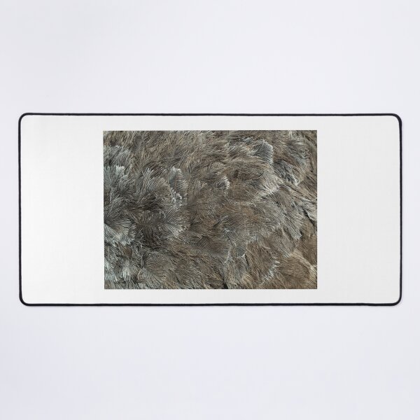 Item preview, Ostrich feathers background designed and sold by AngeloDeVal.