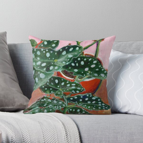 Begonia maculata, fond rose Coussin