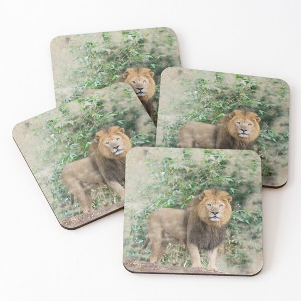 Item preview, Male lion designed and sold by Photopat.
