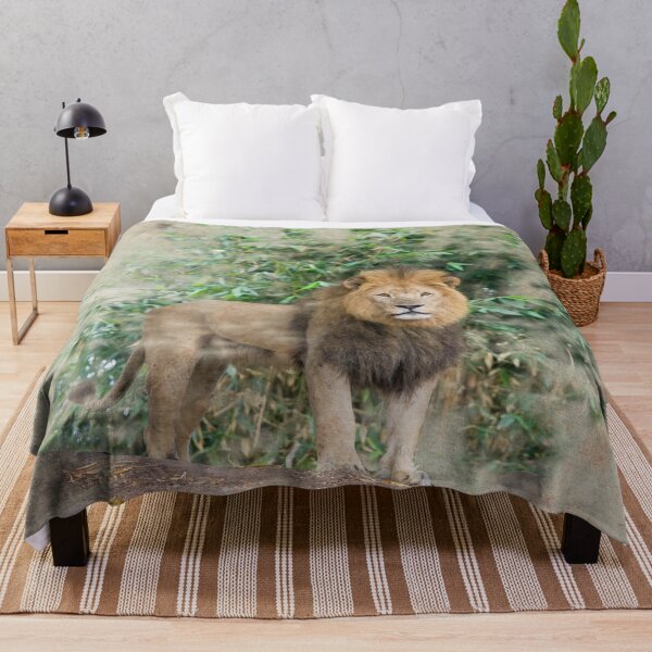 Item preview, León macho designed and sold by Photopat.