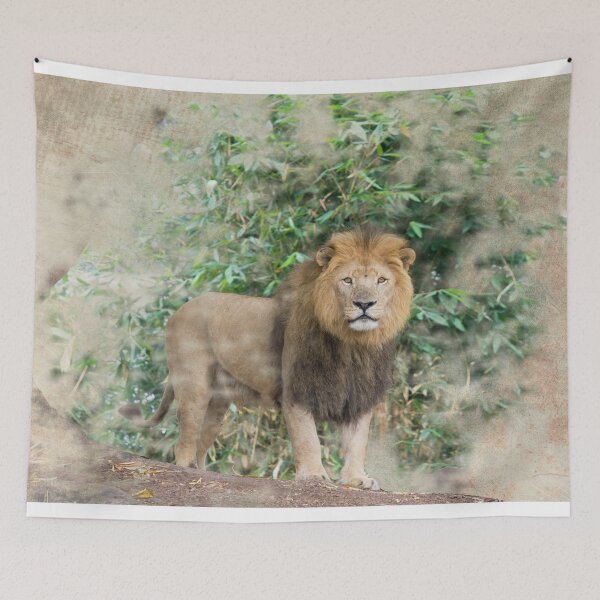 Item preview, Male lion designed and sold by Photopat.