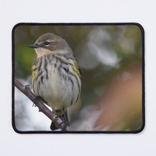 Item preview, Yellow Rumped Warbler designed and sold by Tonia Delozier's Photography .