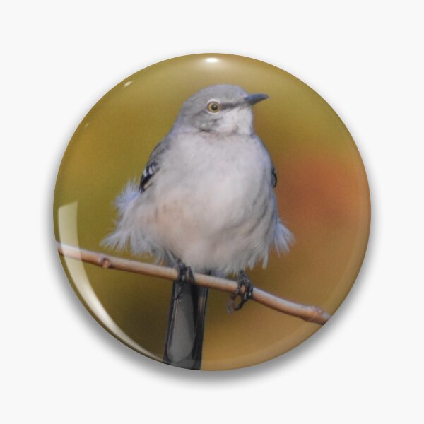 Item preview, Mockingbird perched designed and sold by Tonia Delozier's Photography .