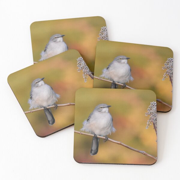 Item preview, Mockingbird perched designed and sold by Tonia Delozier's Photography .