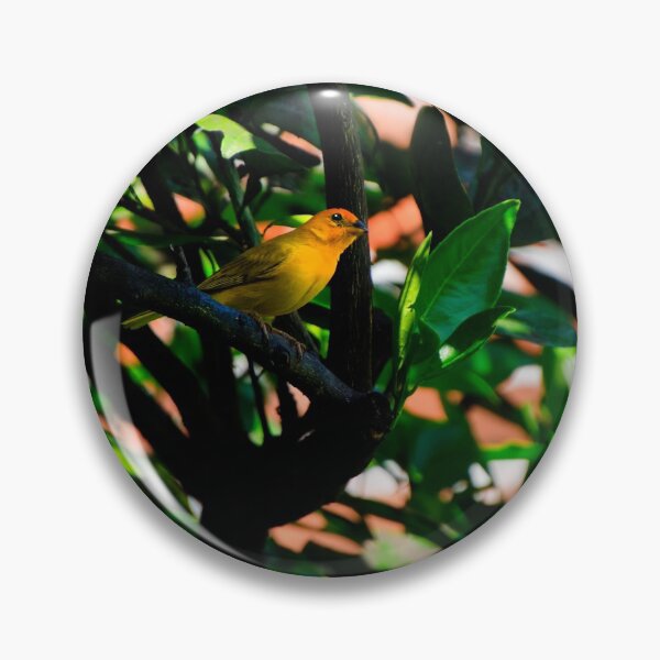 Item preview, The Distinctive Saffron Finch designed and sold by alabca.