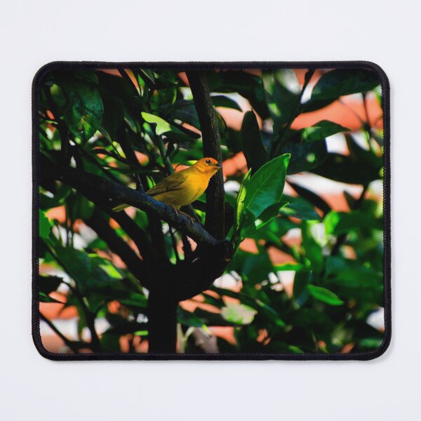 Item preview, The Distinctive Saffron Finch designed and sold by alabca.