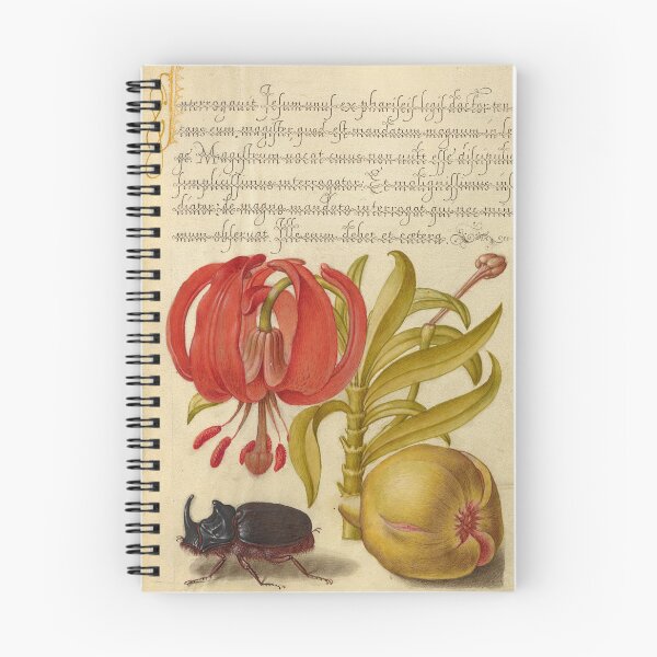 Item preview, Naturalist Manuscript: Flowers, Insect, Fruits and Calligraphy Illumination by Joris Hoefnagel designed and sold by Naturalist Prints.