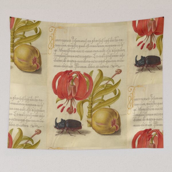 Item preview, Naturalist Manuscript: Flowers, Insect, Fruits and Calligraphy Illumination by Joris Hoefnagel designed and sold by Naturalist Prints.