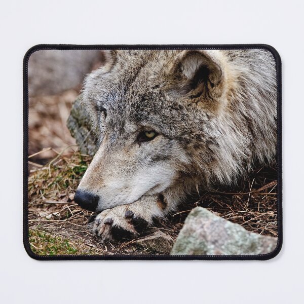 Item preview, Timber Wolf designed and sold by Michael Cummings.