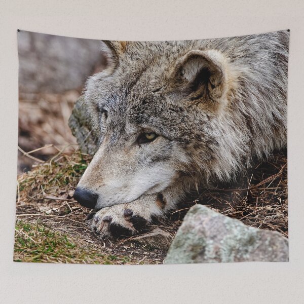 Item preview, Timber Wolf designed and sold by Michael Cummings.