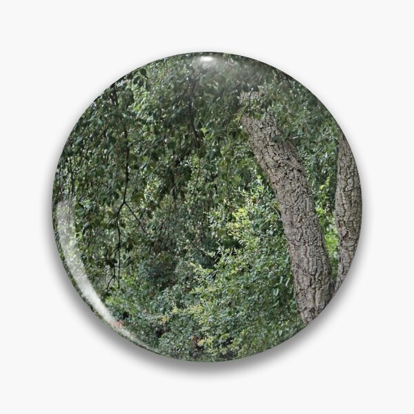 Item preview, Forest Path Cork Oak Tree designed and sold by worldways.