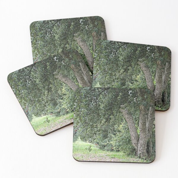 Item preview, Forest Path Cork Oak Tree designed and sold by worldways.
