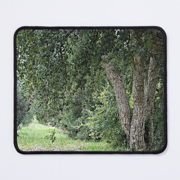 Item preview, Forest Path Cork Oak Tree designed and sold by worldways.