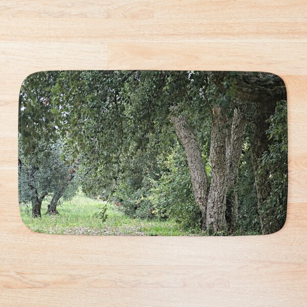 Item preview, Forest Path Cork Oak Tree designed and sold by worldways.